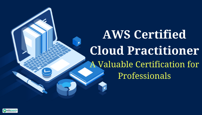 New AWS-Certified-Cloud-Practitioner Braindumps Questions