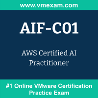 AIF-C01: AWS Certified AI Practitioner