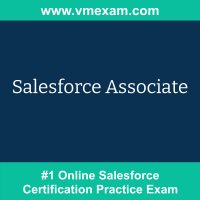 Salesforce Associate